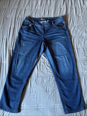 Lane Bryant Dark Blue Straight Leg Jeans